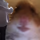 27642351975142303551515868586286741406083791186187473490041390484586586177537