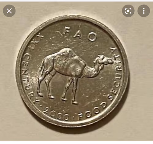 Untitled Collection #30063930