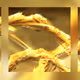 87151933800671267645647559135499828903103985988159700901786023042388710129665