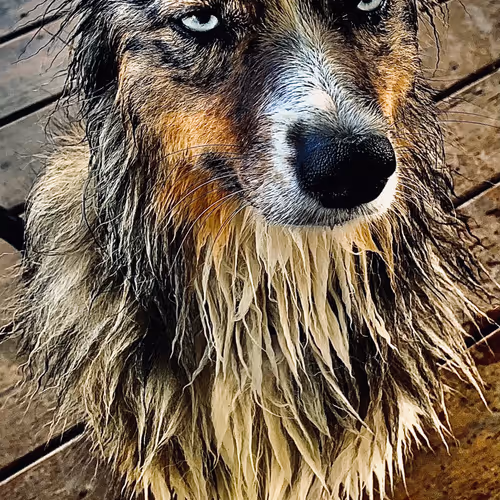 Untitled Collection #485490507