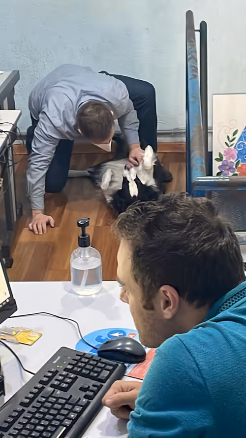 Item #11440459270095308398587637459166343305889800409890839512164194994066666029057 Media