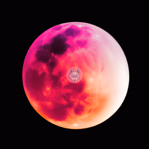 Item #106354215354227112710139797925814598999767026275886643497634913070950759006209 Media