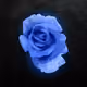 47617452219842574370957576608560851857569331776292145113798655479921940365317