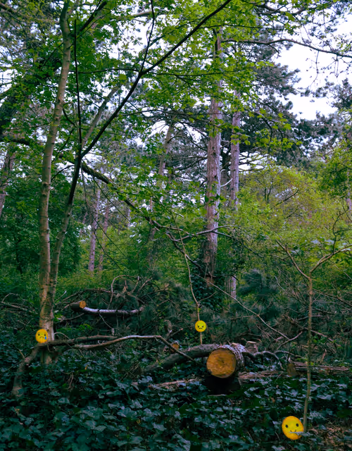 Item #46267743495132859547511032037696953227726596585589071183384476047393714864129 Media