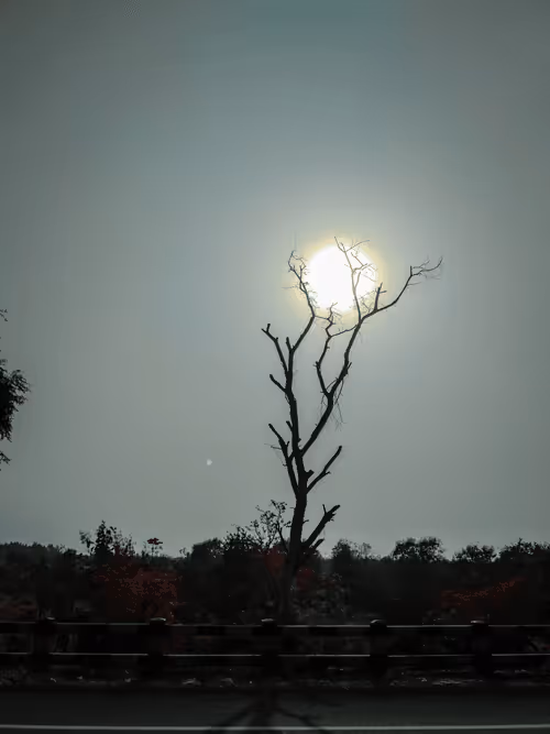 Item #25616082582926581849828542289953210650844898071757148195180127641956402593793 Media