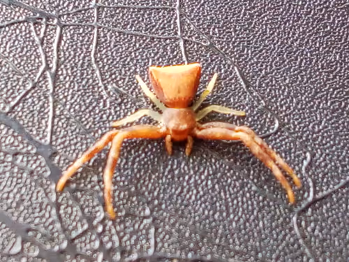 Item #18279368597565041265121237626867746954701071610314993633361532910406312394753 Media