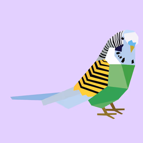 Item #33981103560574202352093728641567895083267241091080727147052835372821404188673 Media