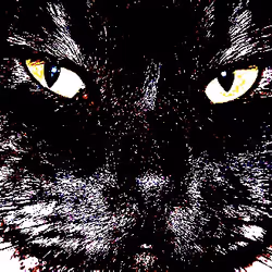 23538819986925566434507765811444276093104658907602947149672917166786068086785