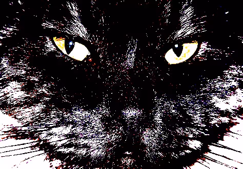 23538819986925566434507765811444276093104658907602947149672917166786068086785