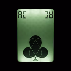 91447235962566050843204486988071869977837851175592152380177511659879012499457