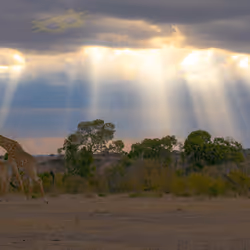 21286616541368493270952273154919658706491111186853565386377985453200448159745