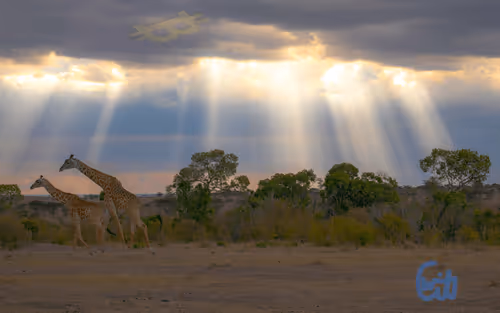 21286616541368493270952273154919658706491111186853565386377985453200448159745