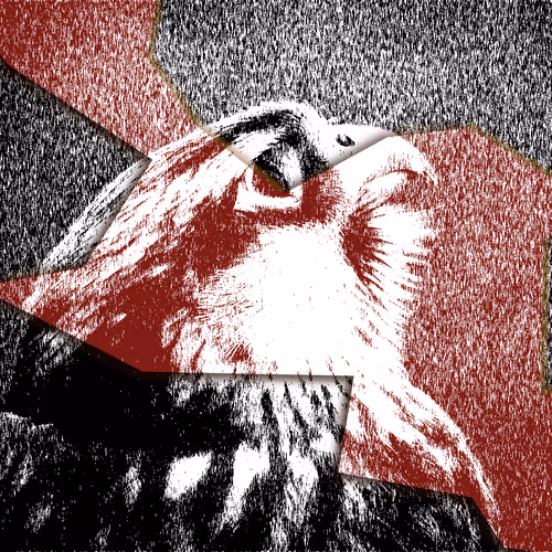 Item #60839276870702459536115980663435026977207856631347422568339333191097848430593 Media