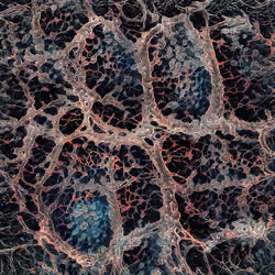 NeuronalArt No.10