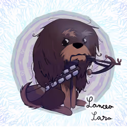 #012 Chewbacca CryptoYorkshire