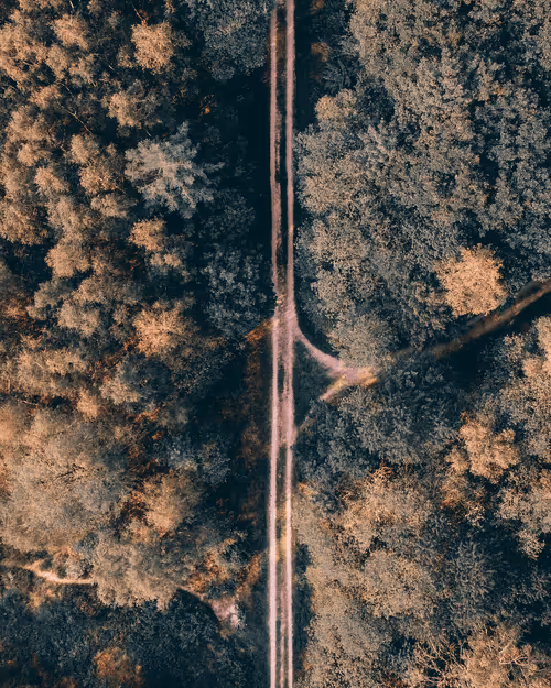 Item #53767926527216059655815230459290075680023416823496414211124190732096576159745 Media