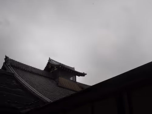 Untitled Collection #87941163