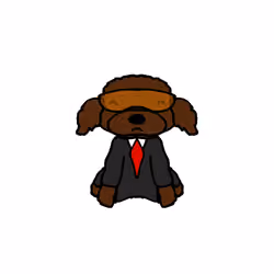 Peachy Poodle #4449