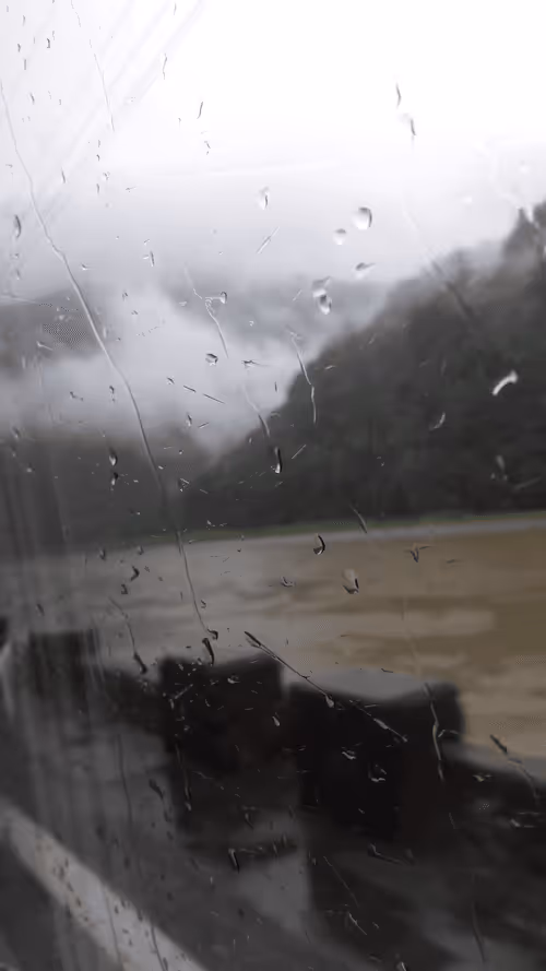 Item #111541984569447898316910999867295501615313848210089613977638143442933472296961 Media