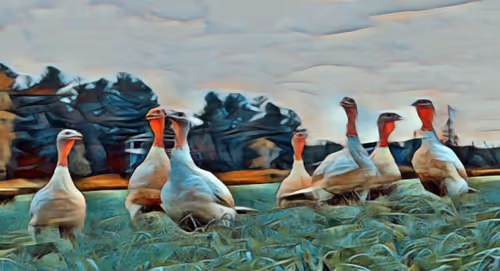 Item #47237781251135923353742950703176233702215495695736078562832556043377334812673 Media