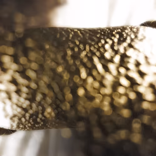 Item #114583670393422335703731795442802772833059201886187866173501821440285361569793 Media