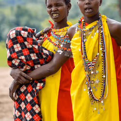 53522521938441215349800286733900405640011511301538766968648782510279050133505