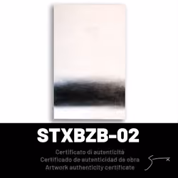 Certificado de Autenticidad STXBZB-02 / STXBZB-02 Certificate of Authenticity