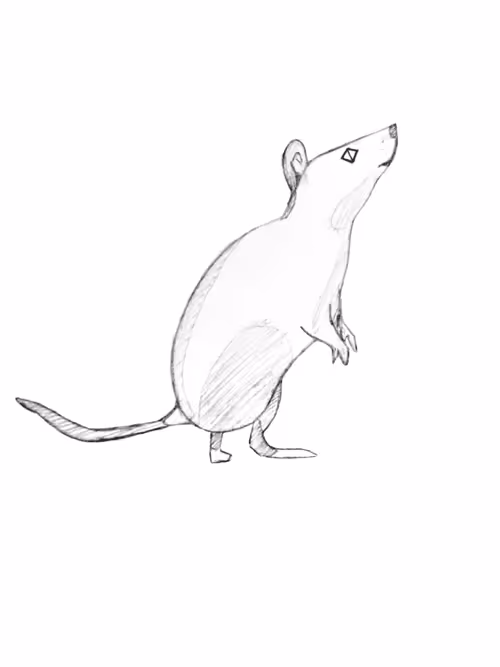 Item #21782199312368670970242189760663991903932470876849492131182457871449278382081 Media