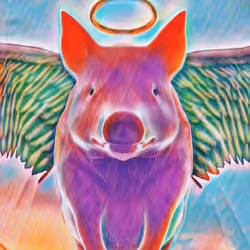 Pig angel
