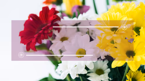 Item #59986400372939374414065967038621919845431008298427446479890717513991805992961 Media