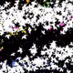 79847455760476516399087628697200587219444516265486563126667179570493290184705