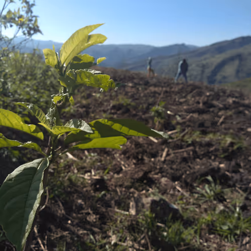 Item #7120864471247341398306829217881579872829788011268687356509244722168073289729 Media