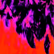36885324253161520710144339185063470396599932148786810002081854576135032012801