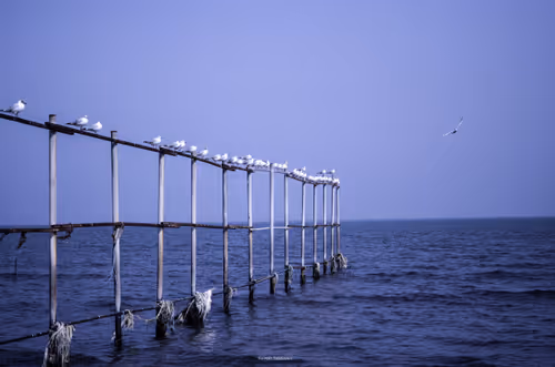 Item #88588118460762935851954819290277197949236789267554687293919040393542163759105 Media