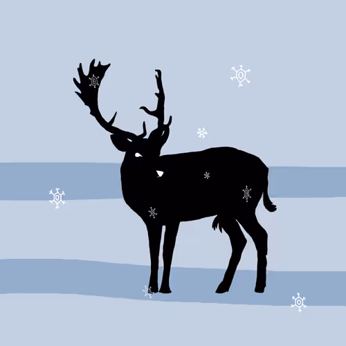 Item #23719157219344405114565846685502868048607638057936986317710031259968036929537 Media