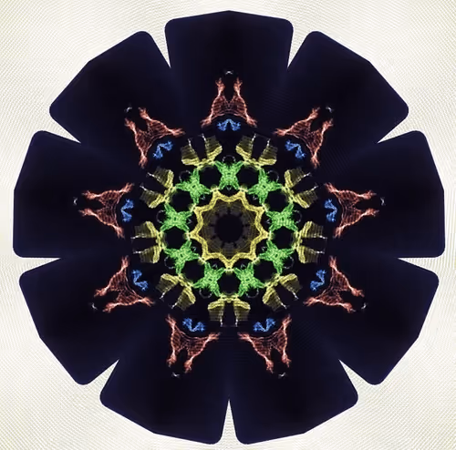 Item #79881050723478976597603312711140696422670200976584181801927160737189146394625 Media