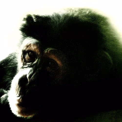 Item #105394010161551018097936078642910549059002323015222353178191529522520922259457 Media