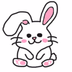 bunny