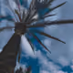 80865968115116744017176505024835712663513115641269347193339912323326107713537