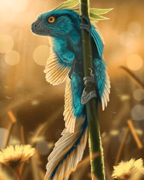 Item #92653617760102030904218862550610393359558394307813449742985135165553252499457 Media