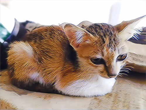 Item #74122138759525378795667626270866148487737655975912799548892275155535543664641 Media