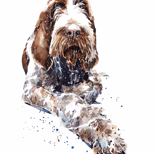 Item #15308155937593783866228062712704217529335676444312394672786838660105321316357 Media