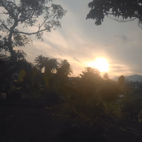 Untitled Collection #204650874