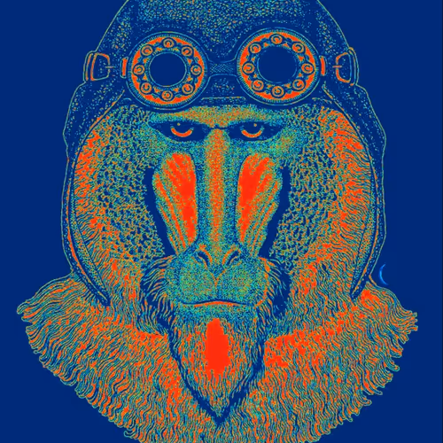 Untitled Collection #188991580