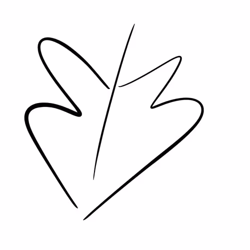 Item #92063935557761151178948940337195387141599798410045535238772148484301517750444 Media