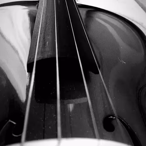 Untitled Collection #49138919