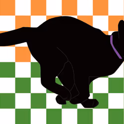 Memory cat Dash patternP-WOG