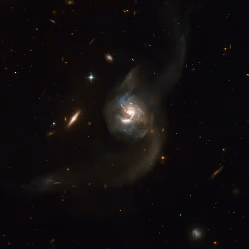 Item #73635321922163705006181621303173513101651993833902875566325113651497443262465 Media