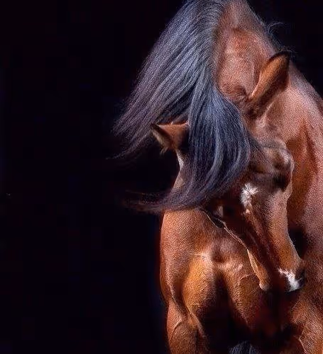 2468119463308914702005443652102614178506533567319377457804557032858268467201