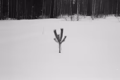 Item #34811634924862855090105769671786307071201187759740501250683185432054240116737 Media